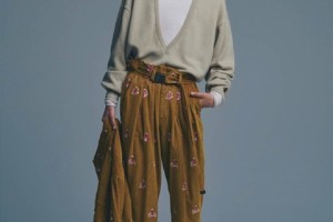 志高空调官方网站(探索志高空调：官方网站全面解析与产品亮点)